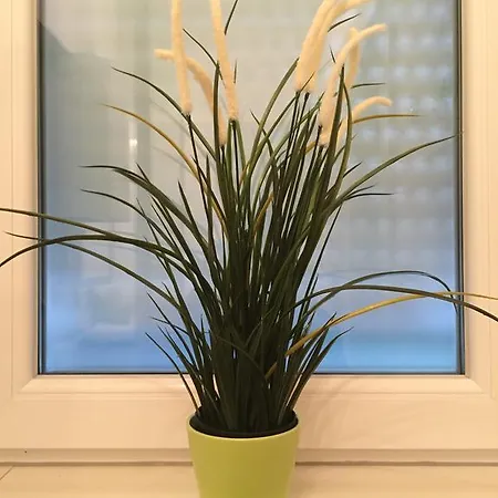 Marimar Apartment